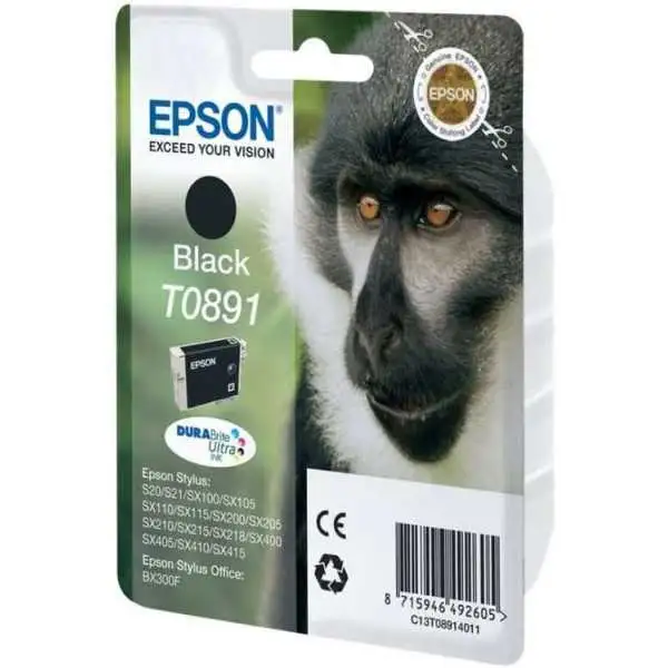 Epson T0891 Noir Singe Cartouche authentique au meilleur prix