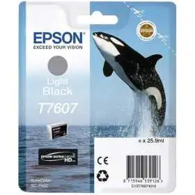 Epson T7607 Noir clair Orque Cartouche authentique au meilleur prix